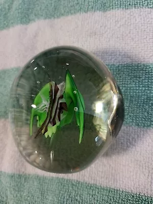 Vintage MURANO GLASS Aquarium Paperweight CENEDESE • $25