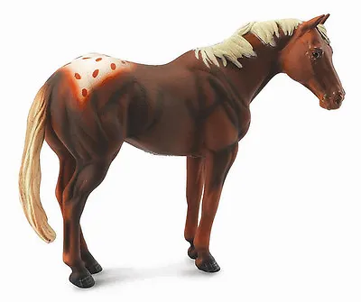 £15.99 • Buy CollectA 88436 Chestnut Appaloosa Stallion Horse Model Toy Figurine - NIP