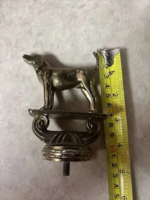 VTG Solid Metal Dog Trophy Topper Coon Dog Pointer Dog Show Winner Hood Ornament • $9.99