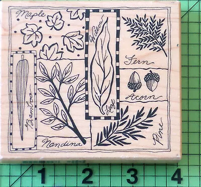 Leaves Collage Wood Mounted Rubber Stamp K-3162 By PSX Maple Fern Willow Pine • $12.95