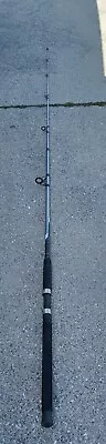 Used Quantum Blue Runner 9 Foot Med/Heavy 2 Piece Fishing Rod BLR5902MHA (15-25) • $34.99