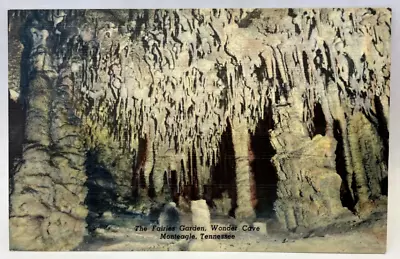 The Fairies Garden Wonder Cave Monteagle Tennessee TN Vintage Postcard • $6.95