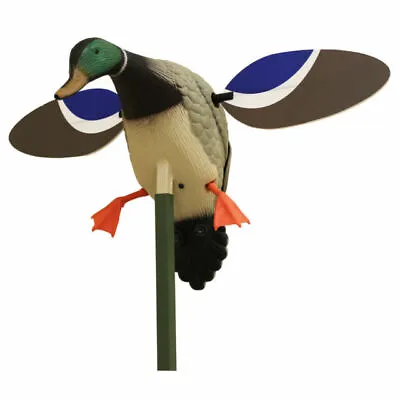 MOJO Outdoors HW4401 Baby Mallard Drake Decoy • $50