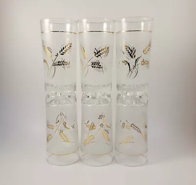 6 Vintage Coveira Italian Glasses Frosted Gold Wheat Design Vintage    5” Tall • $42