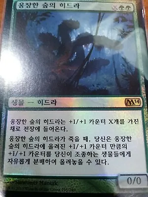 (Foil) [NM] MTG Korean M14 Core Set 1 X Vastwood Hydra • $27.99