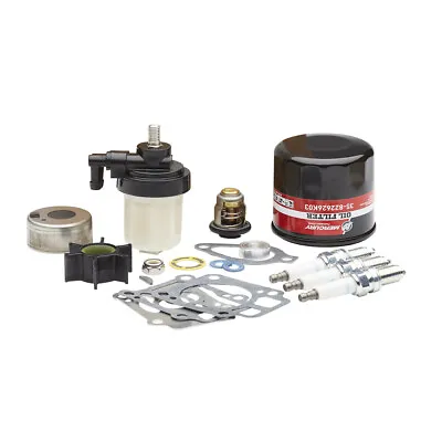 Mercury Marine 300 Hour Maintenance Kit 25HP And 30HP 4 Stroke OEM PN  8M0120839 • $228.95