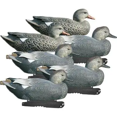 GHG Life Size Gadwall Duck Decoys 6 Pack • $99.99