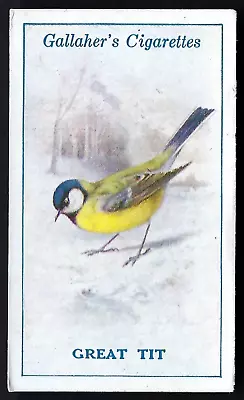 Gallaher - British Birds By George Rankin - #8 Great Tit • £1.40