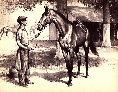  CHALLEDON  A Favorite Son Vintage Original Horse Print 1940 • £20.43