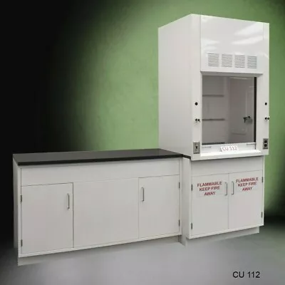 Fisher American 3' Fume Hood / Flammable &5' Laboratory Sink Cabinet / E1-423 • $9400