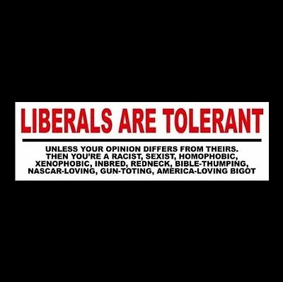 Funny  LIBERALS ARE TOLERANT  Anti Obama Hillary Clinton BUMPER STICKER Decal • $9.99