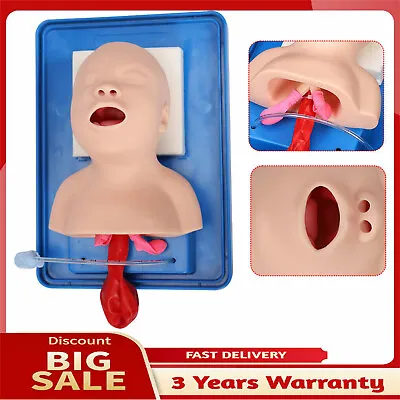 Manikin Model Medical Training Manikin Intubation Model Airway Teaching • $70.30