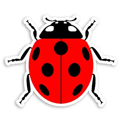 2 X 10cm Red Ladybird Vinyl Stickers - Bug Insect Cute Fun Laptop Sticker #34979 • £3.99