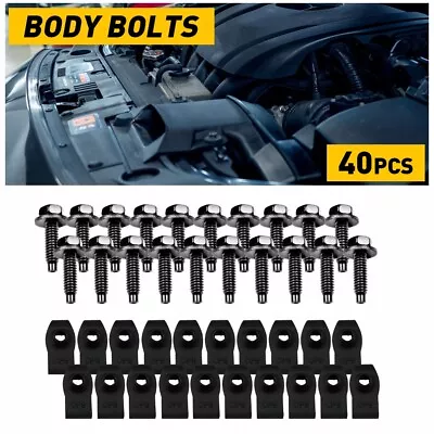 40x Body Bolts U-nut Clips For Ford Truck 5/16-18 X 1-3/16  - 1/2  Hex Black EE • $17.99