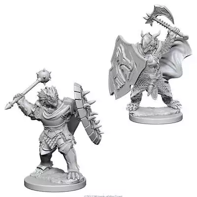 D&D Nolzur's Marvelous Miniatures: Dragonborn Paladin (Male) (73200) • $3.99