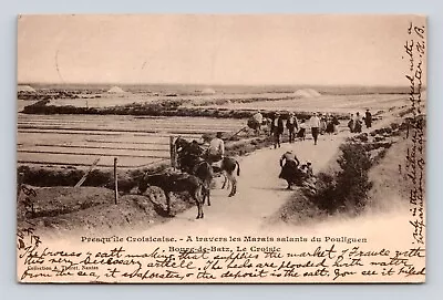 Antique Old Postcard SALT MARSHES CROISICAISE LE CROSIC FRANCE 1903 Memphis TN • $48.99