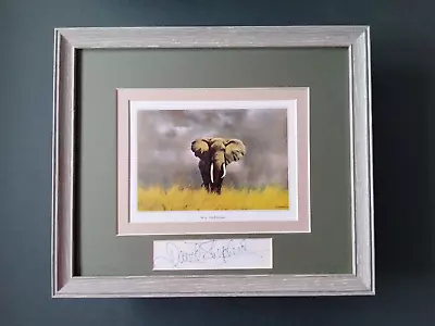 David Shepherd Print 'Wise Old Elephant' Signature In The Mount FRAMED • £44.50