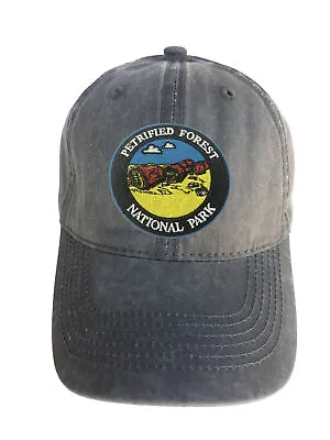 Petrified Forest Park Adjustable Curved Bill Strap Back Dad Hat Baseball Cap • $16.95