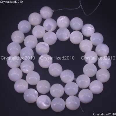 Natural White Horseshoe Snail Shell Round Beads 4mm 6mm 8mm 10mm 12mm 14mm 15.5  • $12.38