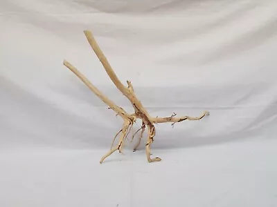 Wild Natural Driftwoods For Aquascaping Aquariums And Fish Tank Hardscapes • $79.99