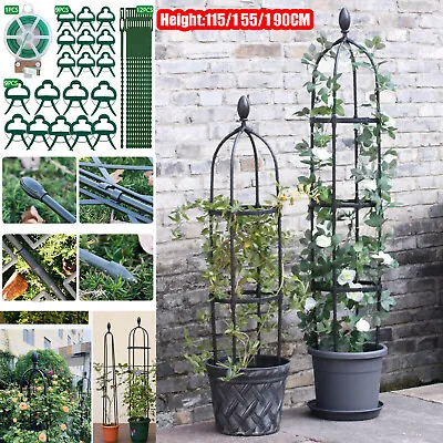 Outdoor Garden Metal Obelisk Climbing Plant Support Frame Trellis For Plants UK • £3.99