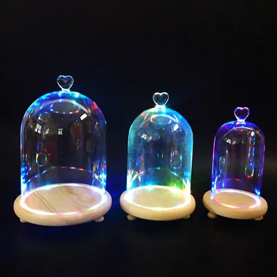 £9.95 • Buy Large Glass Display Cloche Bell Jar Dome Flower Vase Cover And LED Light Up Base