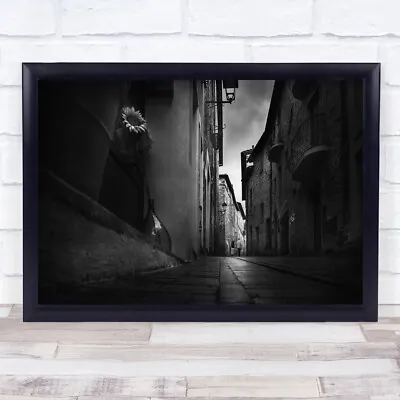 £39.99 • Buy Sunflowers In The Alley Up Shot Black And White Buildings Wall Art Print