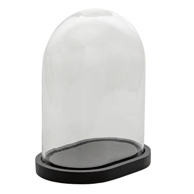 £39.99 • Buy Glass Display Cloche Bell Jar Dome OVAL Flower Preservation Vase Black Base 32cm