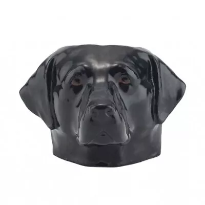 Black Labrador Face Egg Cup • £17.99