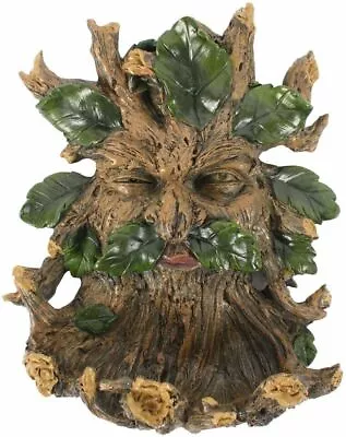 Tree Ent Face Bird Feeder Wall Plaque Large Greenman Decorative Outdoor Décor • £18.99