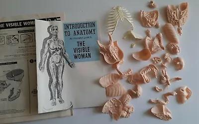 Revell The Visible Woman H-901 Human Body Model Kit 1977 Replacement PIECES • $5.27