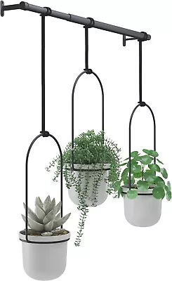 Umbra Triflora 3 Pot Hanging Planter - Gray: Indoor Flower Planting Pots Set • $21.99