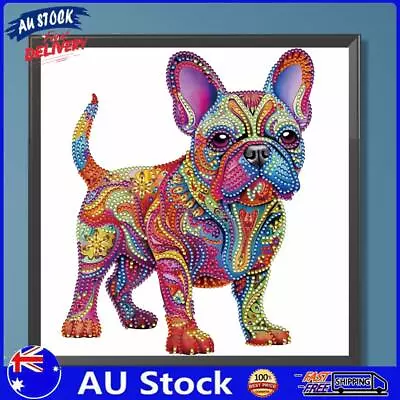 AU 5D DIY Partial Special Shaped Drill Diamond Painting Color Dog Kit Decor 30x3 • $9.89