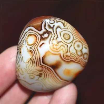 40g Natural Banded Agate Tumbled Palm Stone Crazy Lace Silk Healing Madagascar • $2.46