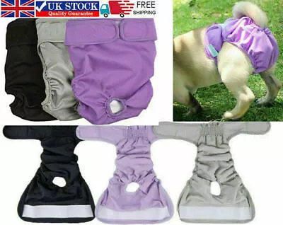 £7.39 • Buy Female Dog Pet Season Heat Pants Short Sanitary Underwear Puppy Menstrual Diaper