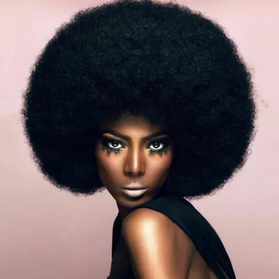 THEMIS HAIR Jumbo Afro Wig For Black Women Natural Looking Black Afro Wig 70s • $28.18