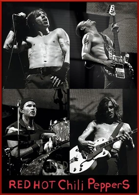 $69.99 • Buy Red Hot Chili Peppers - Framed Music Poster (Rhcp - Live Montage) (24  X 36 )