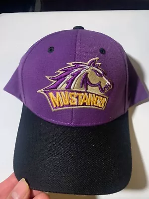 Mustangs Hat Adjustable Purple Black Pre-Owned HT62+66 • $12.71