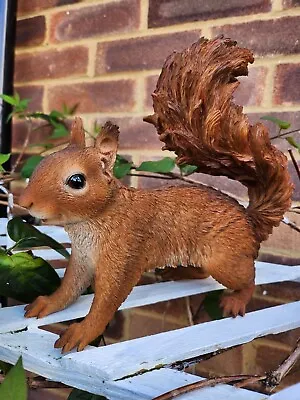 Ultra Realistic Squirrel Garden Or Home Ornament Forrest Woodland Animals  • £28.95