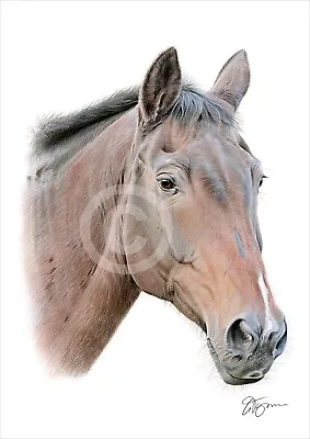 BROWN HORSE Colour Pencil Drawing Print A4 / A3 Signed By UK Artist Artwork • £12.99