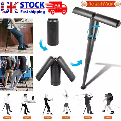 Portable Walking Stick Chair Seat Telescopic Folding Stool Cane Hiking Queue • £12