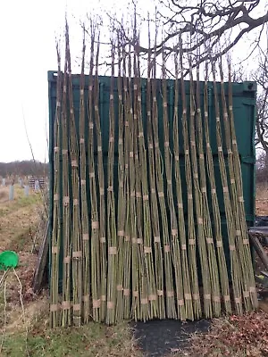 Willow Whips (Trees) Salix Viminalis For Hedges Windbreaks Living Structures • £159.95