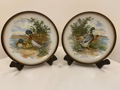 Mallard Ducks Decorative Plates - Hassenpflug HK - Vienna Austria - A5 • $20.99