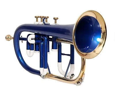 Professional Flugel 4V Blue + Brass Expert's Choice With Hard Case & Mp • $197.43