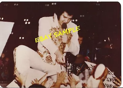 Elvis 3.5x5 Old KODAK Original Concert Cincinnati OH 6/25/1977 Sundial • $10