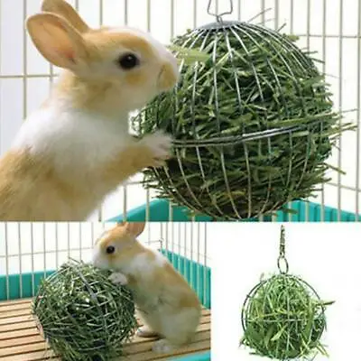 £4.27 • Buy Hay Manger Food Ball Plating Grass Rack Ball Lovely Pig Hamste Rabbit Guinea GA