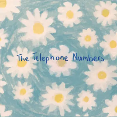 The Telephone Numbers Weird Sisters (Vinyl) 7  Single • £11.50