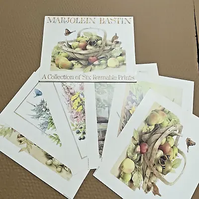 Marjolein Bastin 6 Framable Natures Sketchbook Prints Garden Art 1990s VTG 11x14 • $17.99
