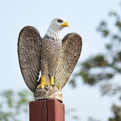 Large Eagle Falcon Decoy Scarer Statue Protector Deterrent • £18.66