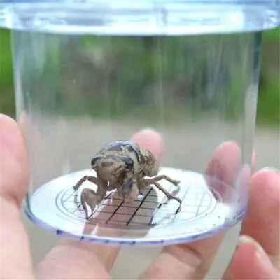 Round Bug Observe Box Jar Holder Container Insect Viewer Magnifier Childs Toy SP • £3.96